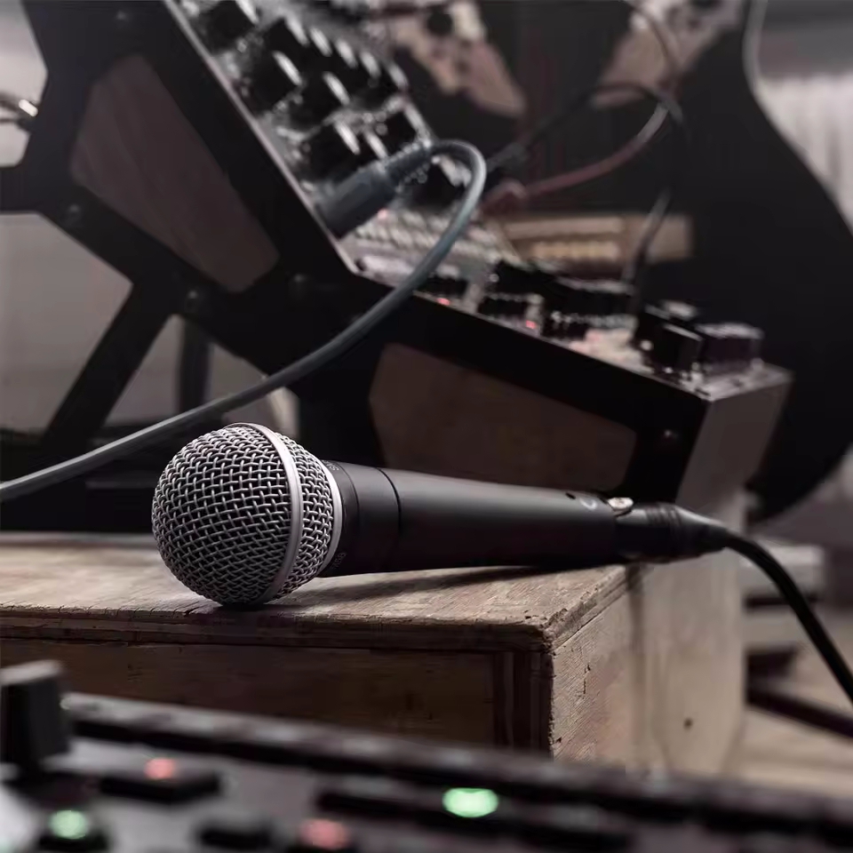 Karaoke-Dynamikmikrofon, profe – Gaming Console Sale Bewertung und Preis